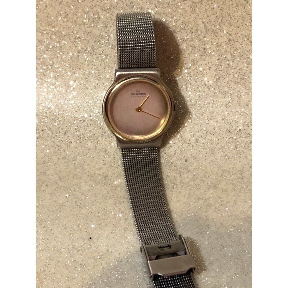 Skagen Ladies Watch